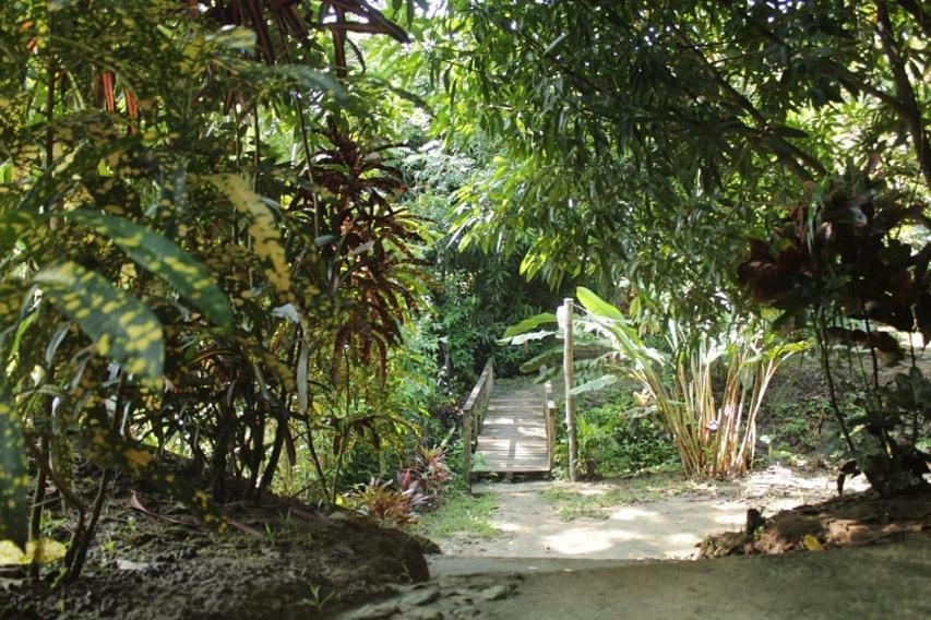 Hostal Mama Tayrona Calabazo  Exterior photo
