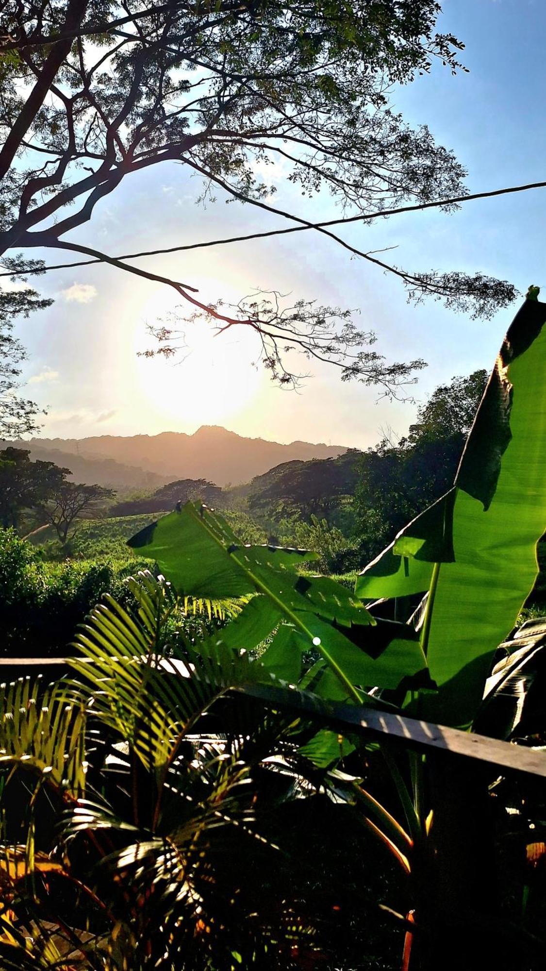 Hostal Mama Tayrona Calabazo  Exterior photo